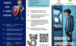 Опасность дропперства