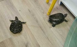 Информация!