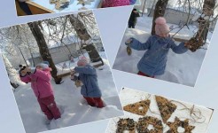 ЭКО-КОРМУШКИ ДЛЯ ПЕРНАТЫХ