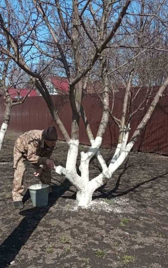 Субботник