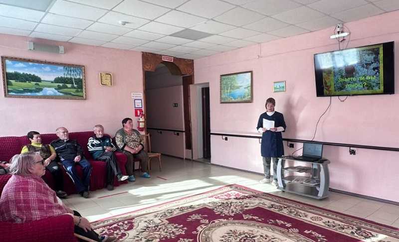 Грибной день