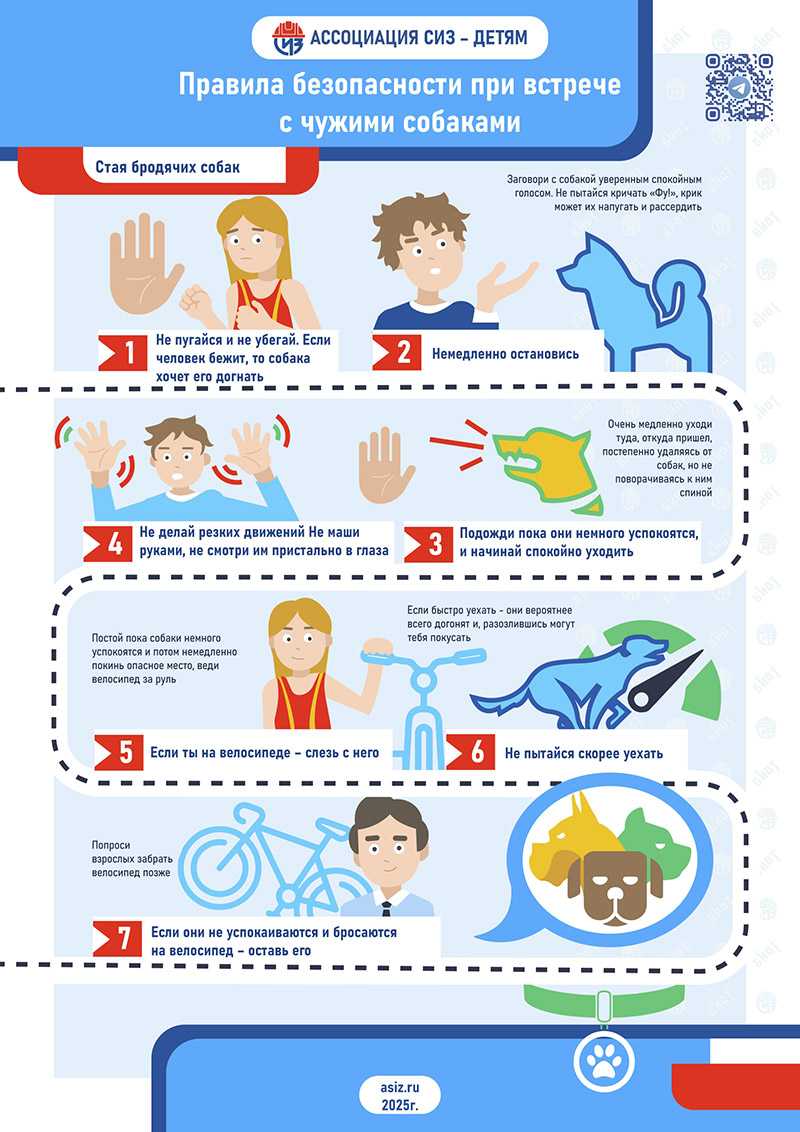 Правила безопасности при встрече с чужими собаками