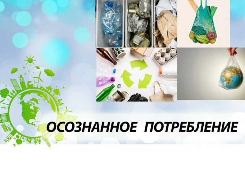 Рациональное (осознанное) потребление