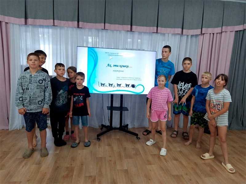 Всемирный день кошек