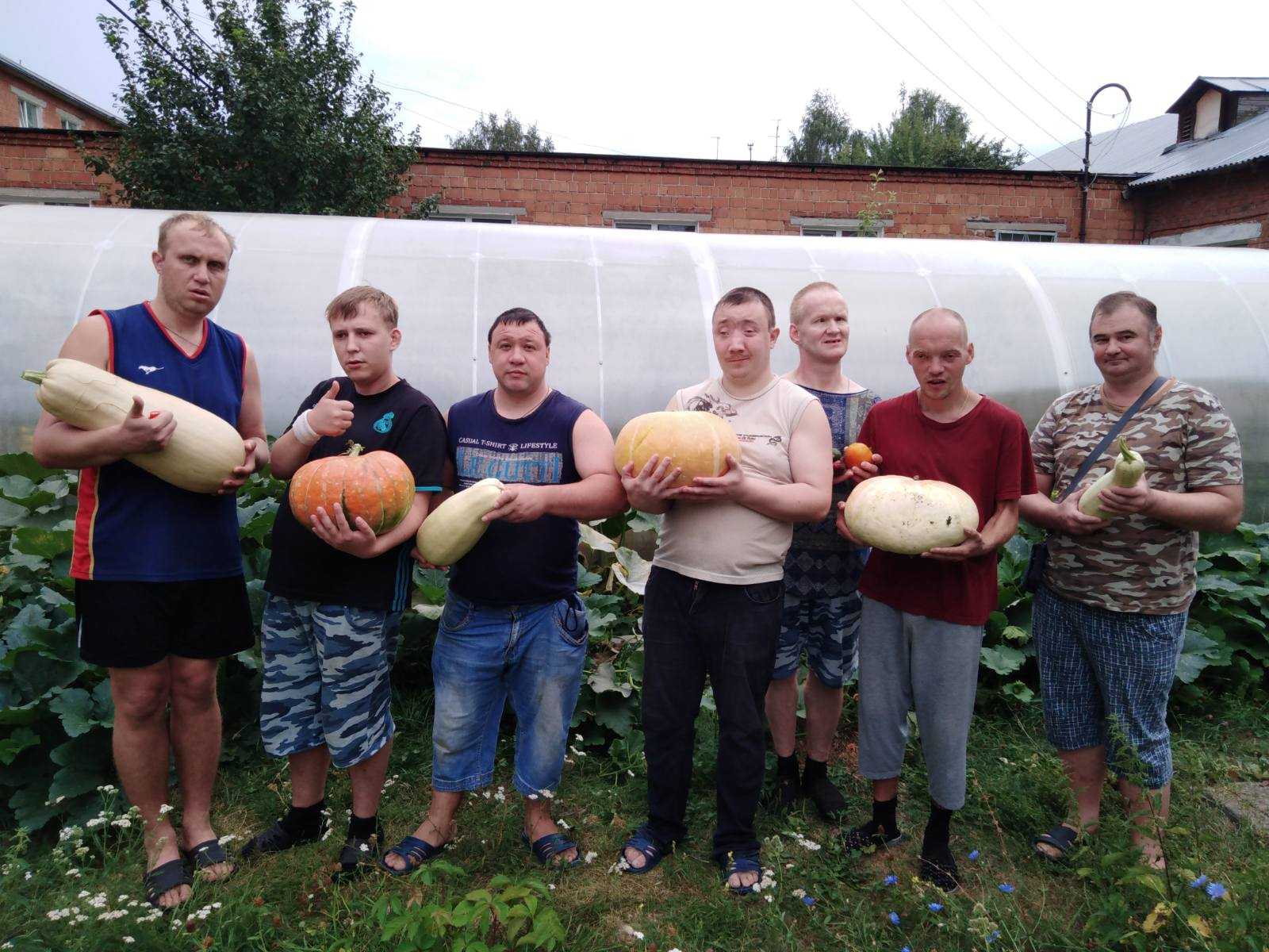 Урожай.