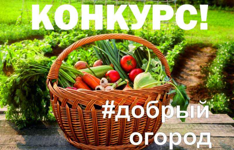 #Добрый огород