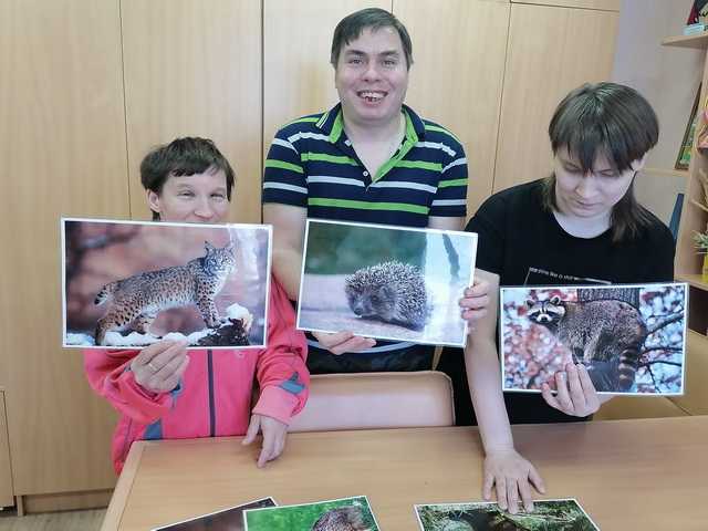 Викторина «Зимний лес»