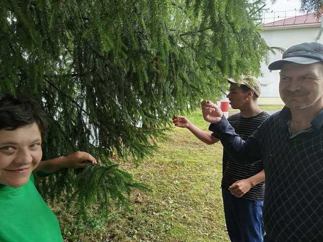 Ланшафтотерапия