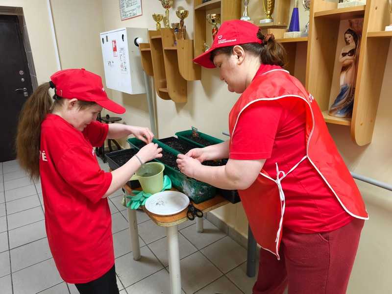 Весна в сердце и в делах: посев рассады 