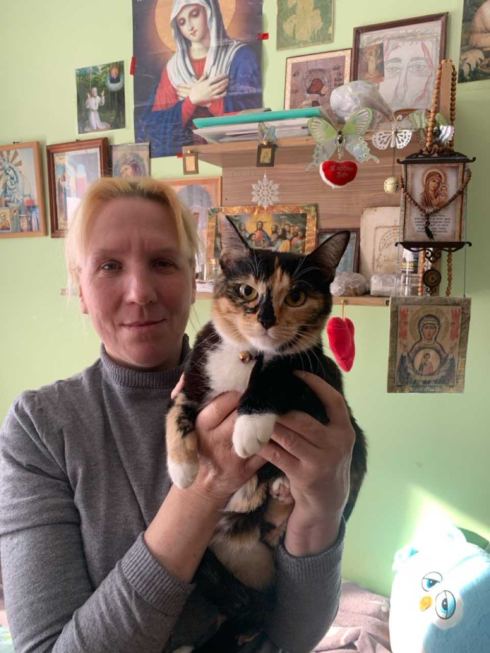 День кошки