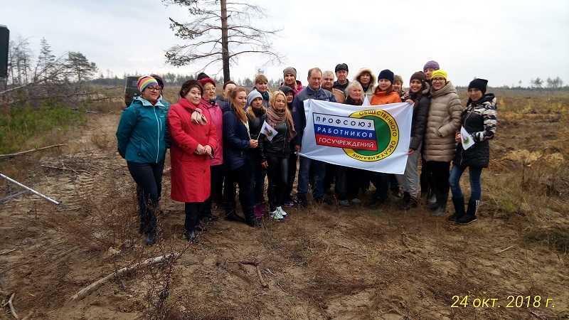 Акция «Посади лес»