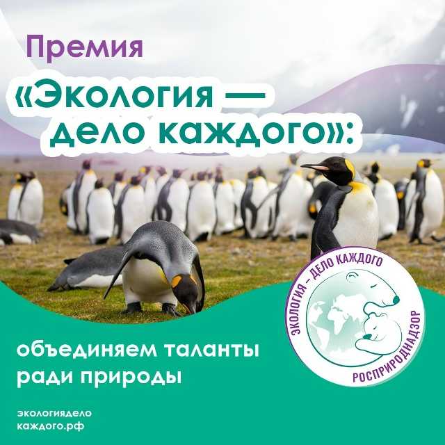 Информация!