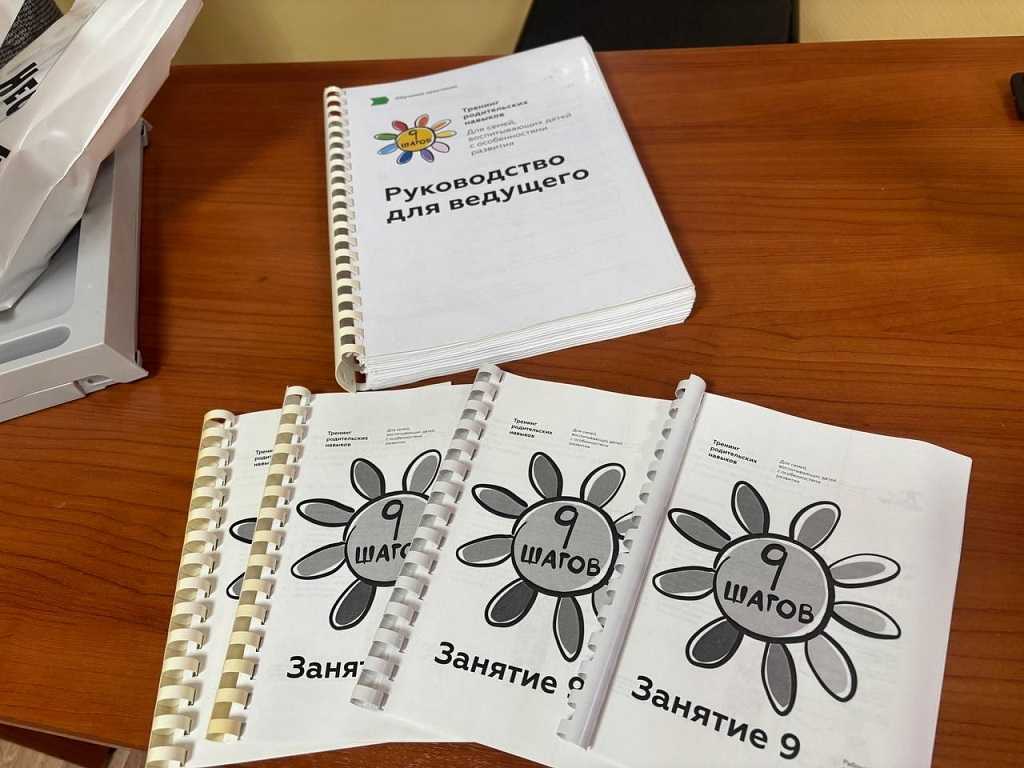 Итоги программы 