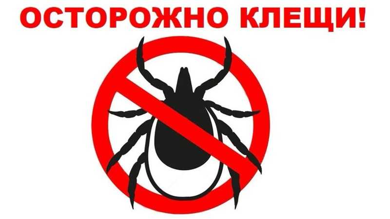 «Профилактика клещевого энцефалита»