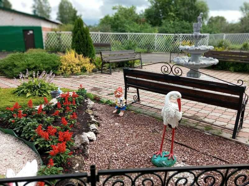 Клумбы и цветы нашего учреждения