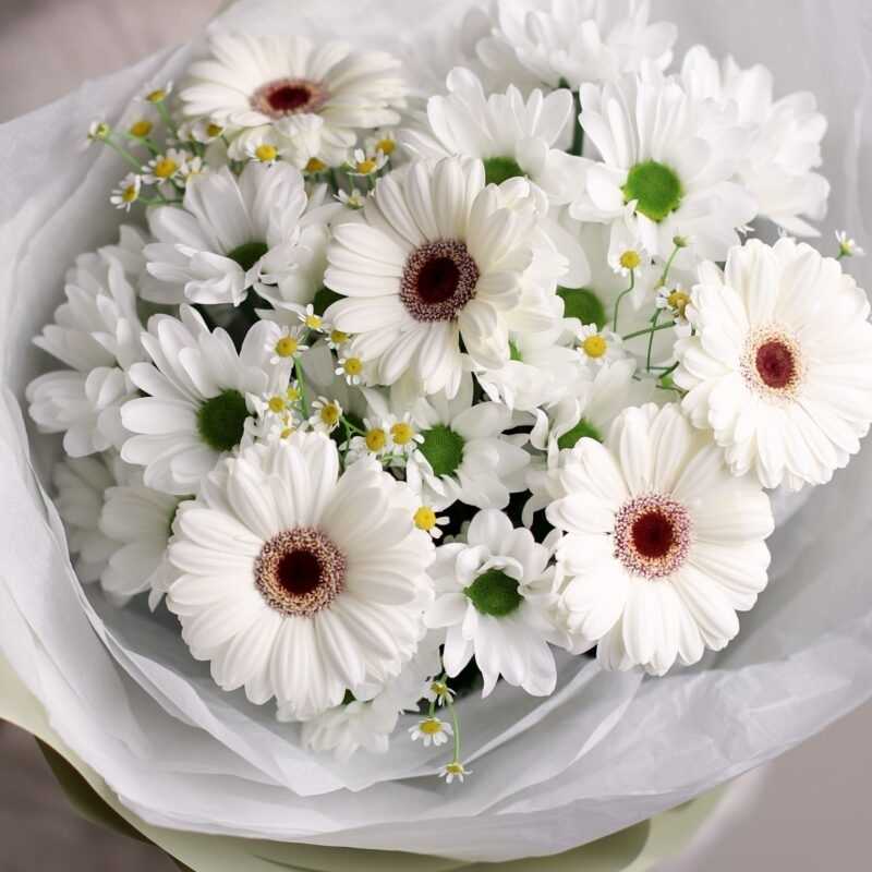 Поздравляем с Днем Рождения получателя социальных услуг.