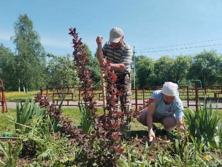 «Благоустройство территории: высаживаем цветы!»