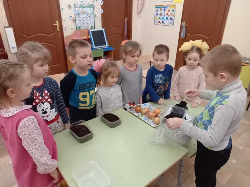 Проект 