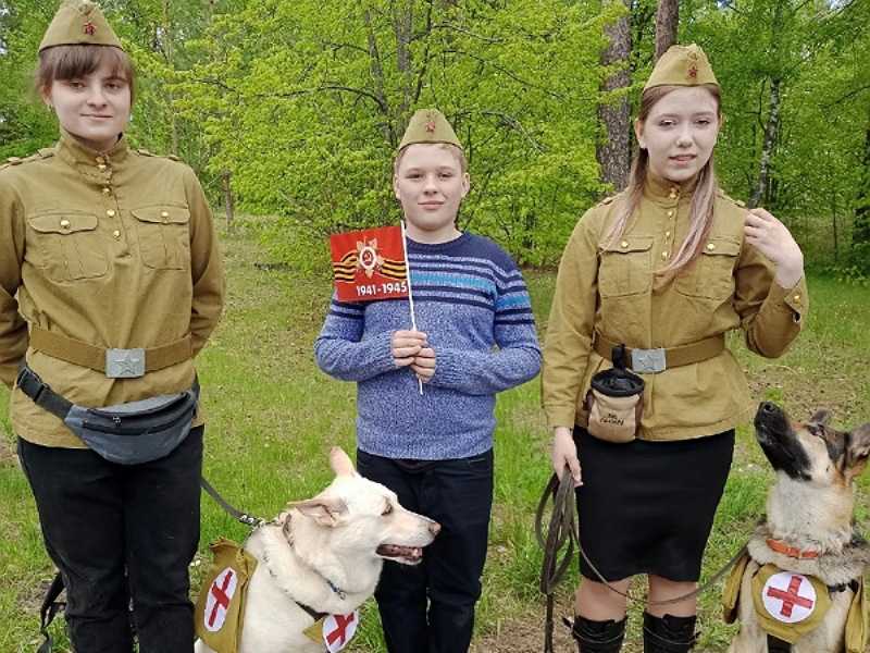 Кинологическая выставка