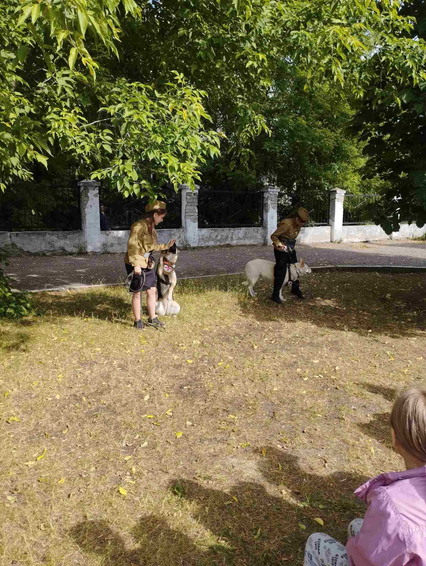 Собака друг человека