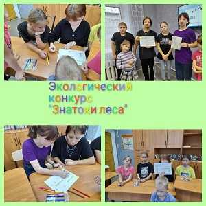 Экологический конкурс