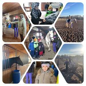 Вдохновляющее приключение: Почему посещение конюшни – это незабываемый опыт для детей! 