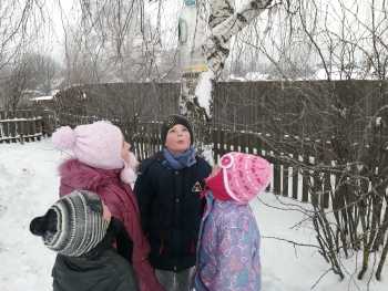 прогулка