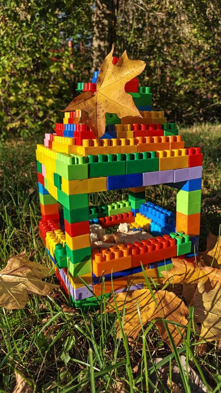 Кормушка для птиц