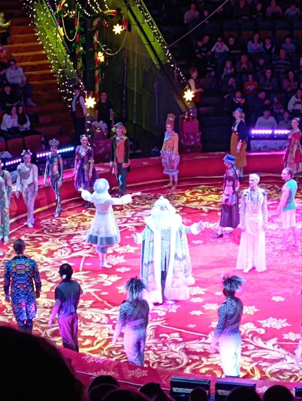 Воспитанники на новогоднем цирковом шоу 