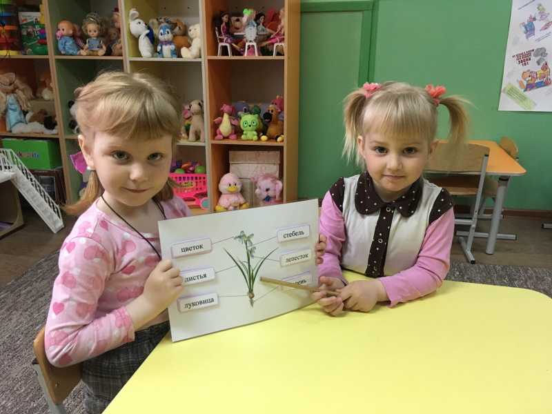 МЫ ИЗУЧАЕМ ЦВЕТЫ