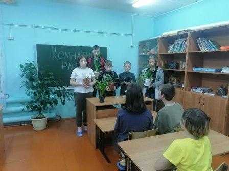Комнатные растения в интерьере