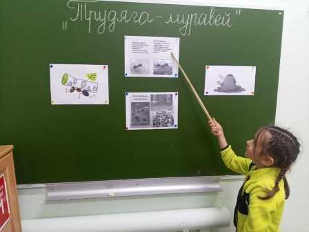 Познавательное занятие 