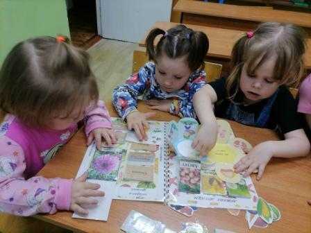Познавательный час 