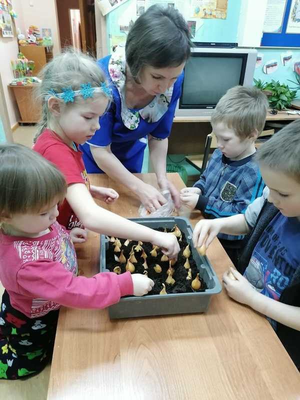 Огород на подоконнике
