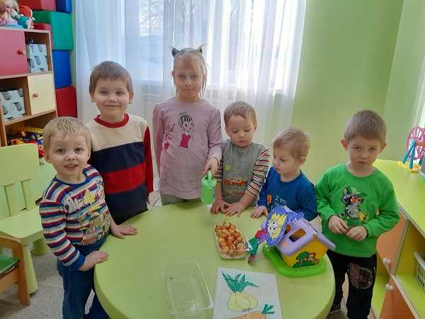 Посадка лука