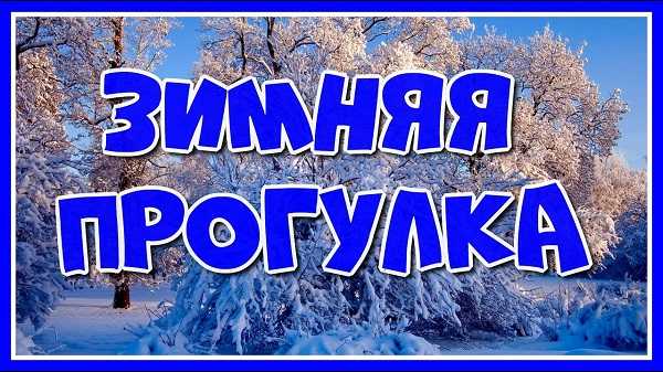 Зимняя прогулка