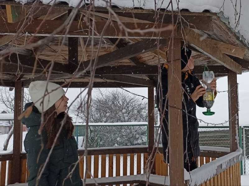 Забота о пернатых друзьях зимой! 