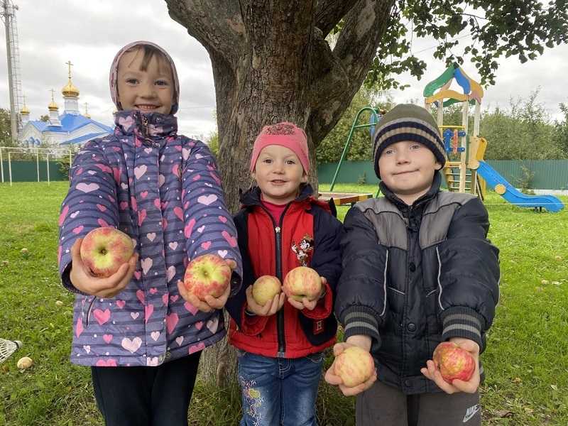 Осенние зарисовки