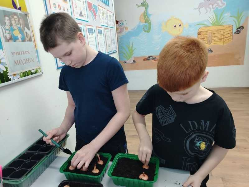 Огород на окне 