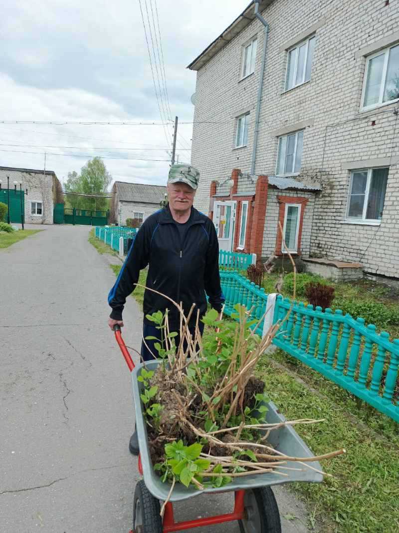 Гарденотерапия