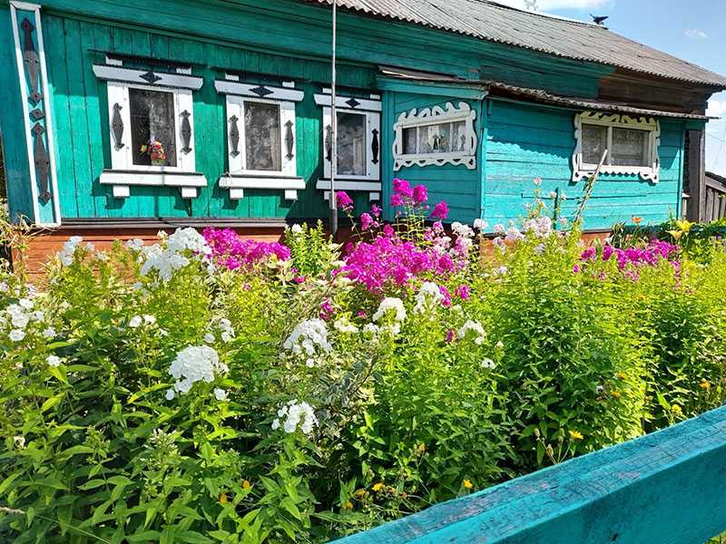 Цветоводство как форма активного долголетия