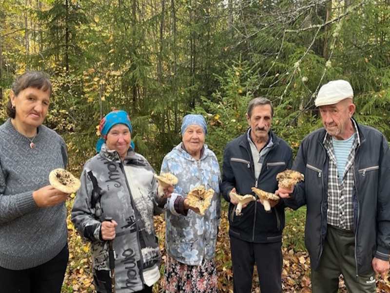 Прогулка по осеннему лесу