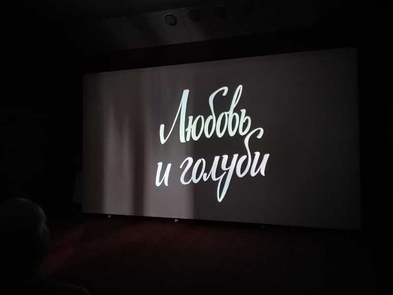 «8 марта с любовью и голубями: волшебный вечер для наших бабушек и дедушек!»