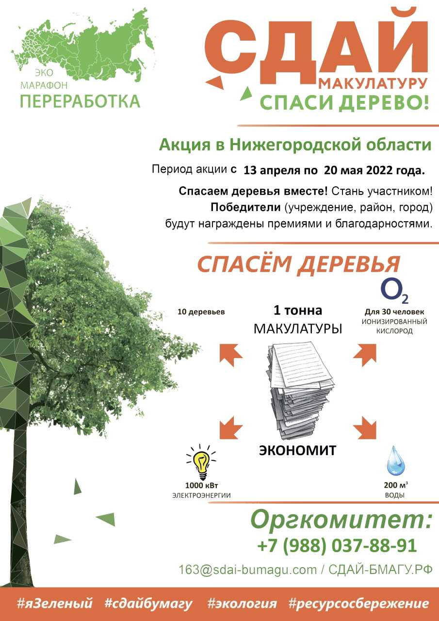 Сдай макулатуру – спаси дерево!