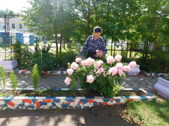 Природа летом просто радует глаз и дарит нам свою удивительную красоту
