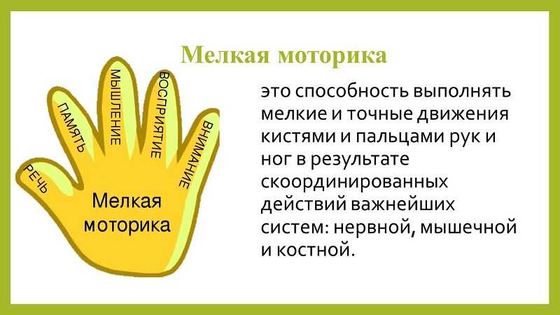Мелкая моторика рук