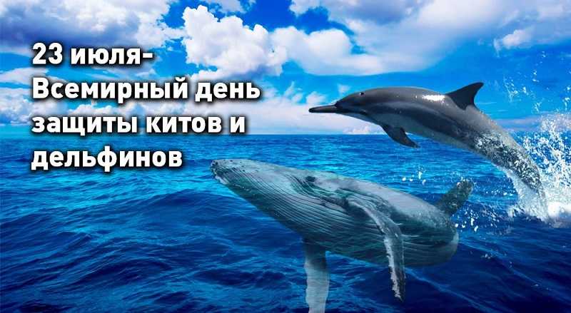 Игровая программа «Цари морей и океанов».