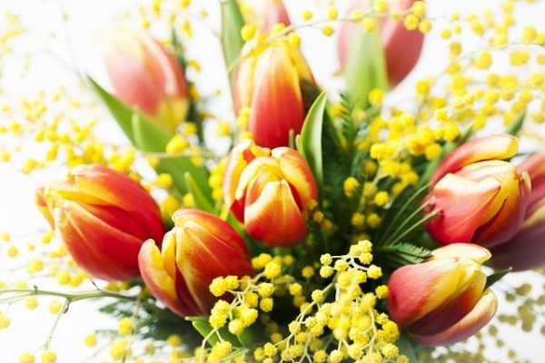 Международный женский день, праздник самой прекрасной половины человечества. Праздник Весны!