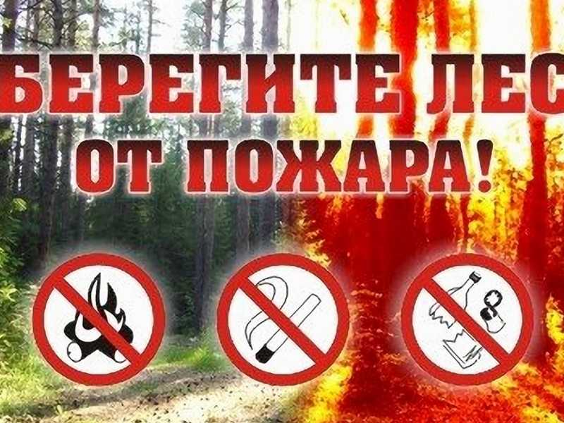  Профилактика пожаров. Сохраним природу родного края!
