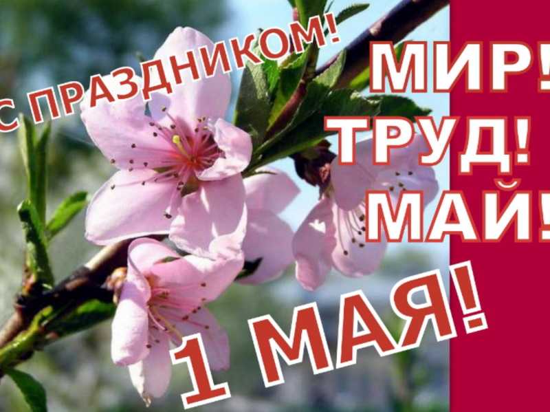 Праздник 1-ое Мая!